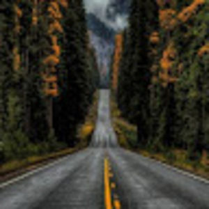 Meet your Posher, Jasper